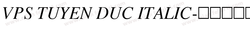 VPS Tuyen Duc Italic字体转换